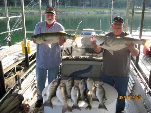 Nice Striped Bass